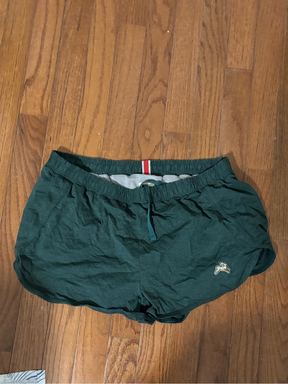 Tracksmith forest green shorts